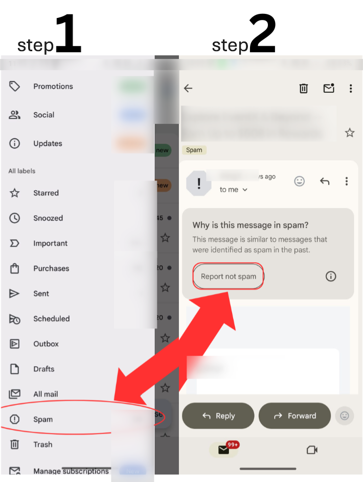 Mark APN Email as Not Spam